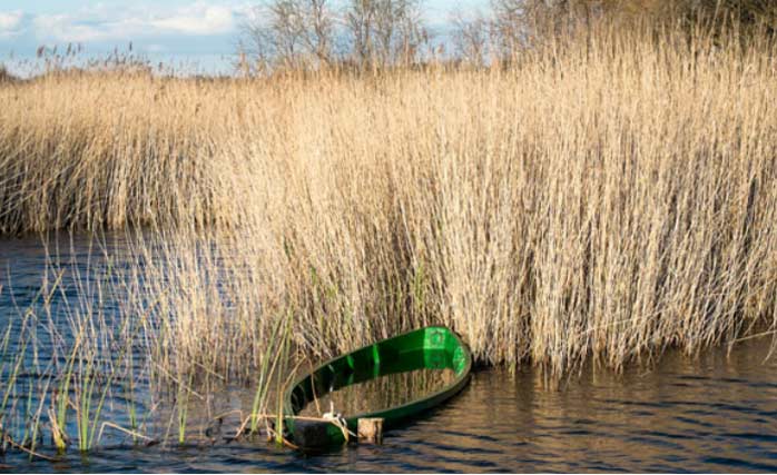 Las Tablas de Daimiel